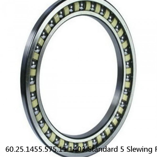 60.25.1455.575.11.1403 Standard 5 Slewing Ring Bearings