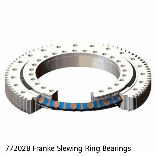 77202B Franke Slewing Ring Bearings